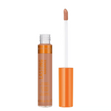 Rimmel London Lasting Radiance Concealer and Eye Illuminator - 080 Chestnut
